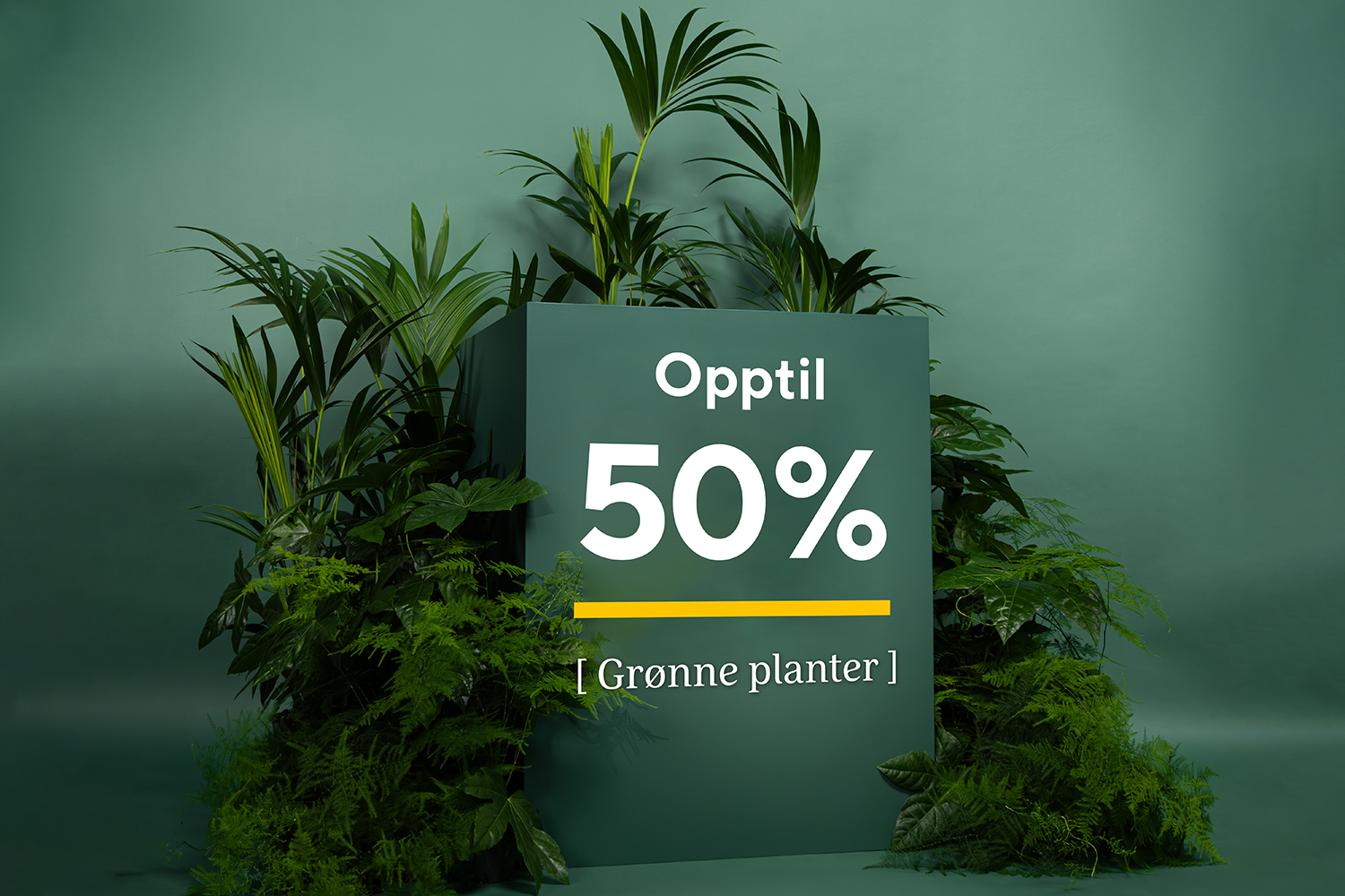 Opptil 50% grønne planter