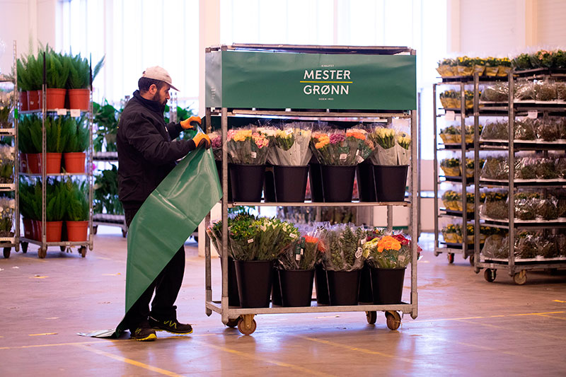 Terminalen til Mester Grønn