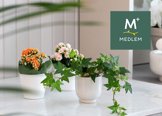 miniplanter og minipotter