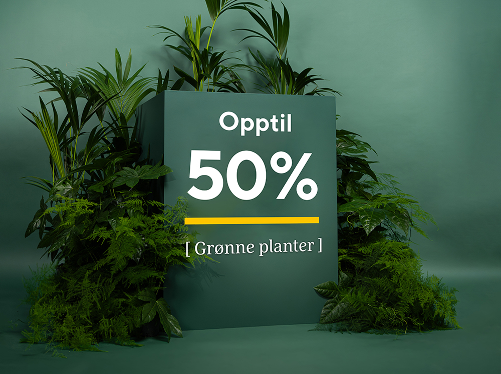 Grønne planter